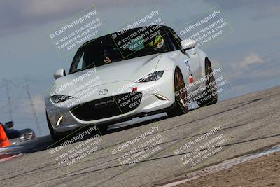 media/Mar-31-2024-Speed Ventures (Sun) [[a3b2bf813d]]/Purple/Session 2 (Grapevine)/